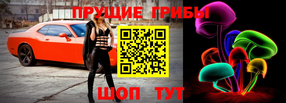 Псилоцибиновые грибы MAGIC MUSHROOMS  Псилоцибиновые грибы MAGIC MUSHROOMS  Серпухов  Вход с VPN 